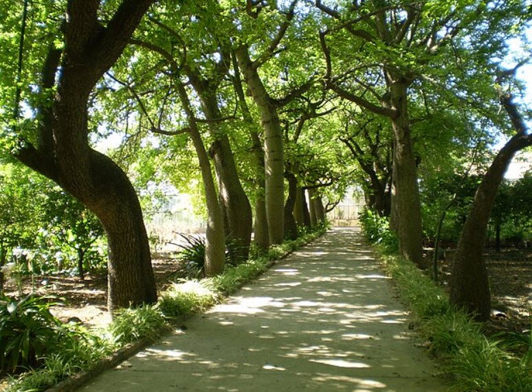 Giardino Botanico, Italy